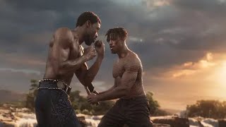 What Sort Of Fighting Style Did Black Panther Use In The MCU