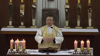 김웅열신부 강론(01월 은총의 밤)
