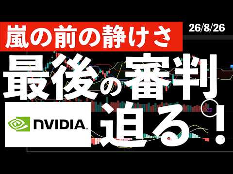 【嵐の前の静けさ】最後の審判！エヌビディア決算を控えた株式市場の動向は？　#米国株 #日経平均 #sp500 #soxl #nvda