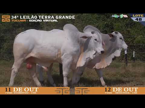 LOTE 048