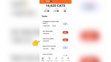 Get Rich Now  | Start From Zero | Cats New Vedio Answers | Claim 9999+ CATS Free