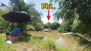 Câu đài tự nhiên gặp ổ cá mè, cá rô phi ăn giật không kịp - Nhật Ký Cần Thủ
