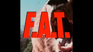 Roe Deers - F.a.t. Edit