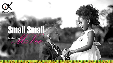 OFFICIAL VIDEO Okyeame Kwame ft MzVee - Small Small