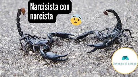 ¿Se puede tener una relación feliz con un narcisista?