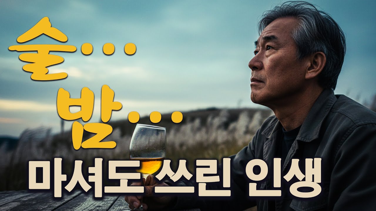 술잔 인생 트로트 메들리｜웃음은 적고 밤은 길다｜중년 감성 트로트 | 중년 남성 감성 발라드 트로트