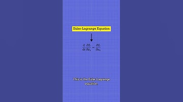 The Euler-Lagrange Equation, Explained