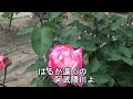 岩城  潤ふるさとを唄う「阿武隈川」作詞/八代洵子 作曲/岩城  潤 編曲/岩城  潤