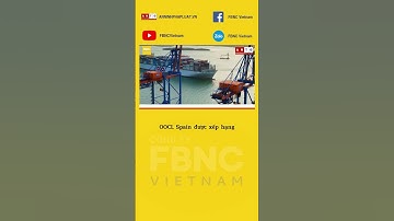 Cụm cảng Cái Mép-Thị Vải đón siêu tàu container lớn nhất thế giới #shorts