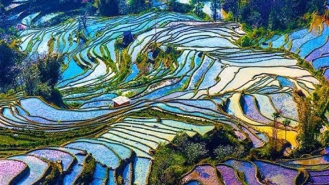 Ruộng bậc thang đẹp nhất thế giới