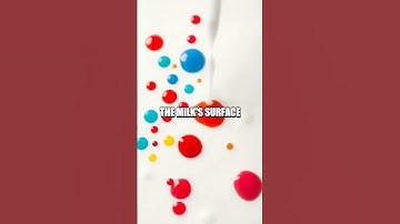 The Magical Color-Changing Milk Experiment