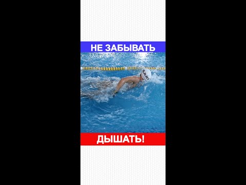 Основы плавания| Как ускорить обучение