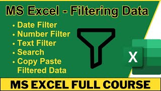 Filter Data in Excel 2025: Best Tutorial for Beginners