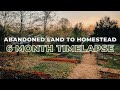 Homestead timelapse  first 6 months  how we made it happen as newbies