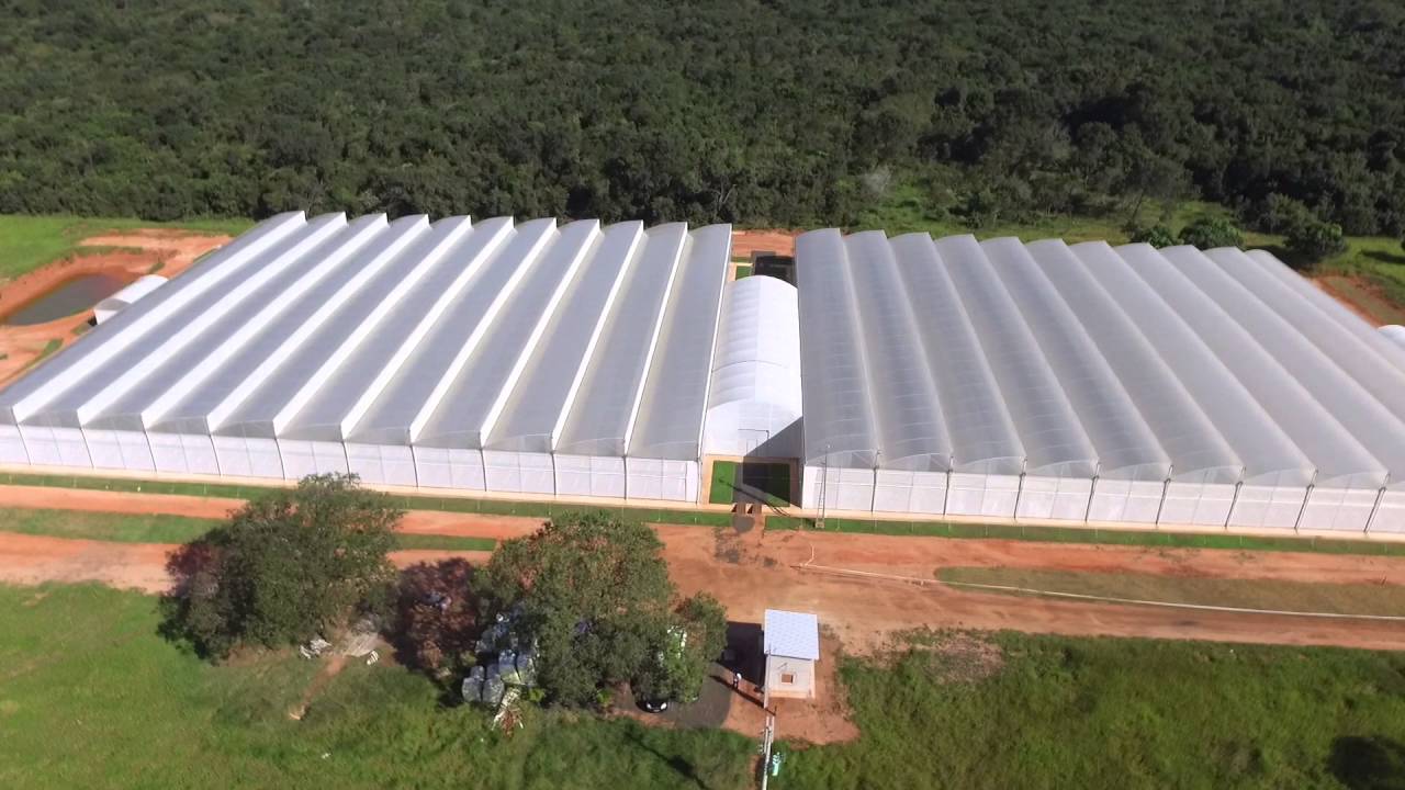 Projeto para Tomate - MaxiVent 11.112 m2 - Zanatta Estufas