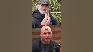 Joe Rogan Scared Off By Weird Guest