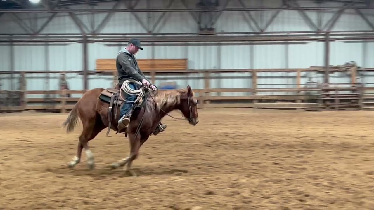 Ferrari,  two year old filly,  G Wagon/Woody Be Tuff daughter