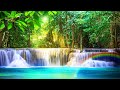 Relaxing Music 24/7, Spa Music, Stress Relief Music, Sleeping Music, Massage Music, Spa, Meditation