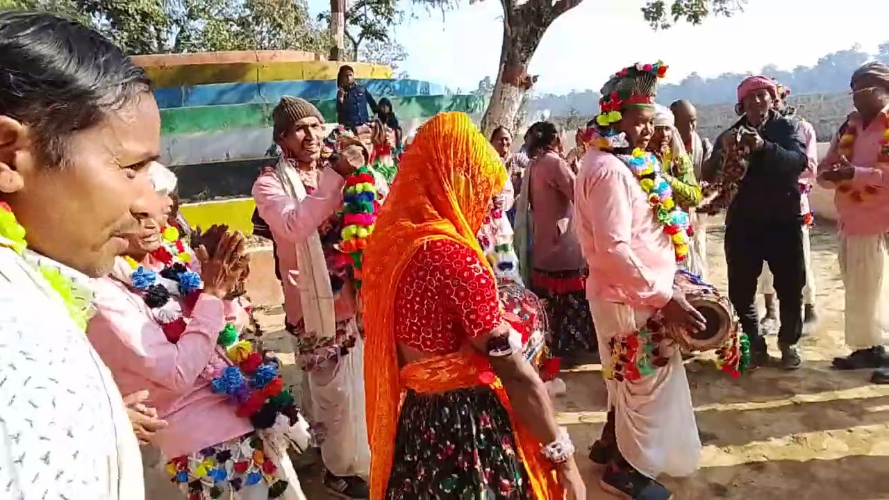 गुलरिया नगरपालिका बाराको थारु संस्कृतिक नाच टिकापुर मोरिया भगेलु थारु