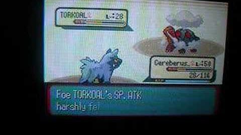 Pokemon Sapphire Poochyena Only Run; Flannery