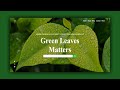 landing page design HTML CSS javascript(gsap), web design tutorial