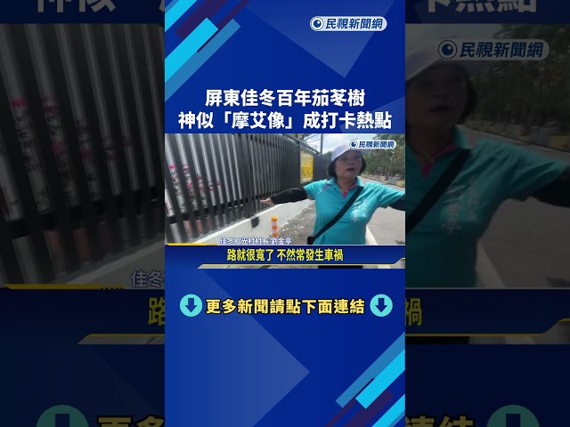 屏東佳冬百年茄苳樹 神似"摩艾石像"成打卡熱點－民視新聞