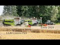 2x Claas Lexion 8800 + Convio Flex 13,80 m | Ernte 2024 | Mecklenburg Vorpommern