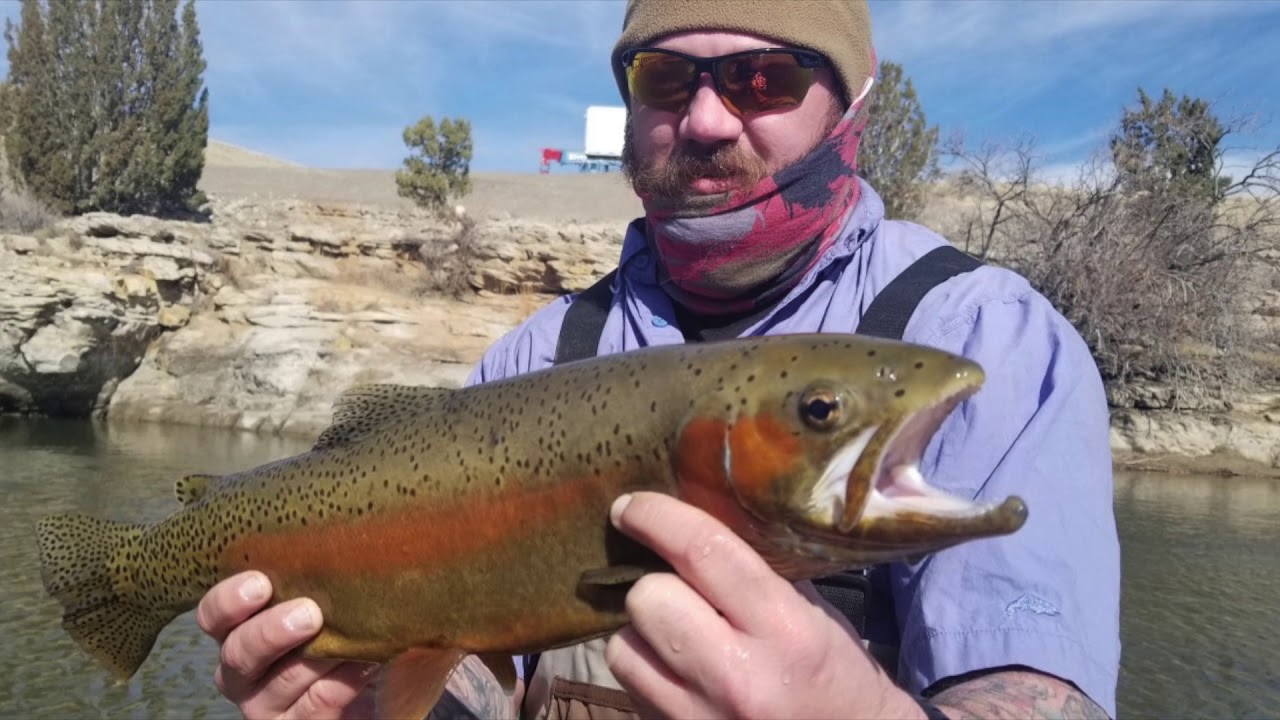 Colorado Fly Fishing Arkansas River, Pueblo Colorado YouTube