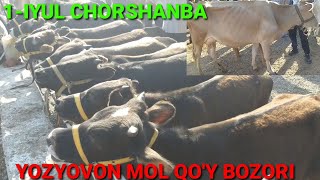 MOL BOZOR NARXLARI TUSHYAPTI. YOZYOVON MOL QO'Y BOZORI