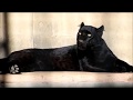 浜松市動物園の動物たち 2018年12月14日