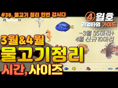 모동숲 3월 물고기 정보 완벽 총정리 모여봐요 동물의숲 mp3 모동숲 3월 물고기 정보 완벽 총정리 모여봐요 동물의숲 Mp3