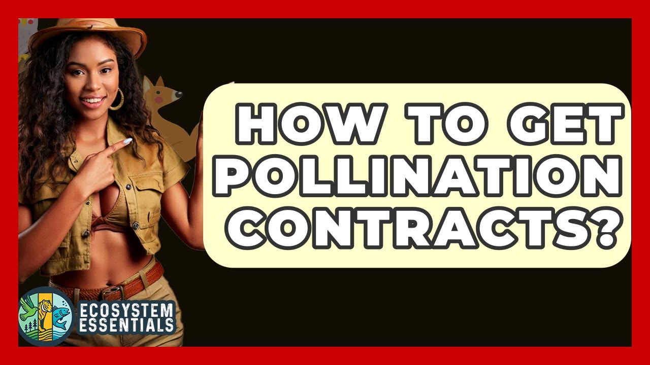 How To Get Pollination Contracts? - Ecosystem Essentials