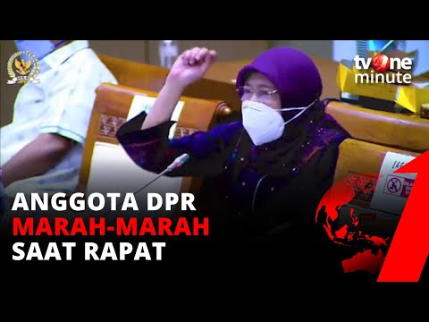 Video: Apa yang Anda tanyakan kepada anggota dewan?