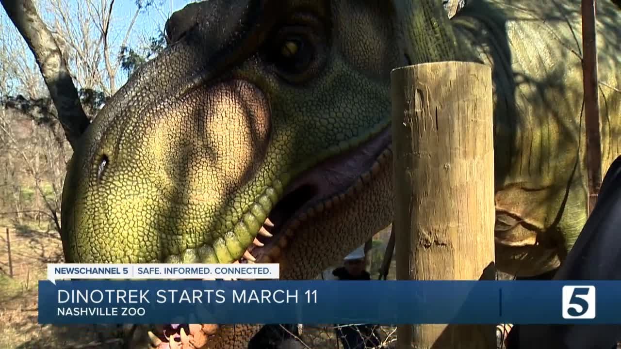 Dinosaur exhibit returns to Nashville Zoo after eight years YouTube