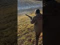 US marshals gun