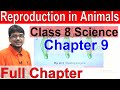 class 8 science chapter 9 reproduction in animals full chapter