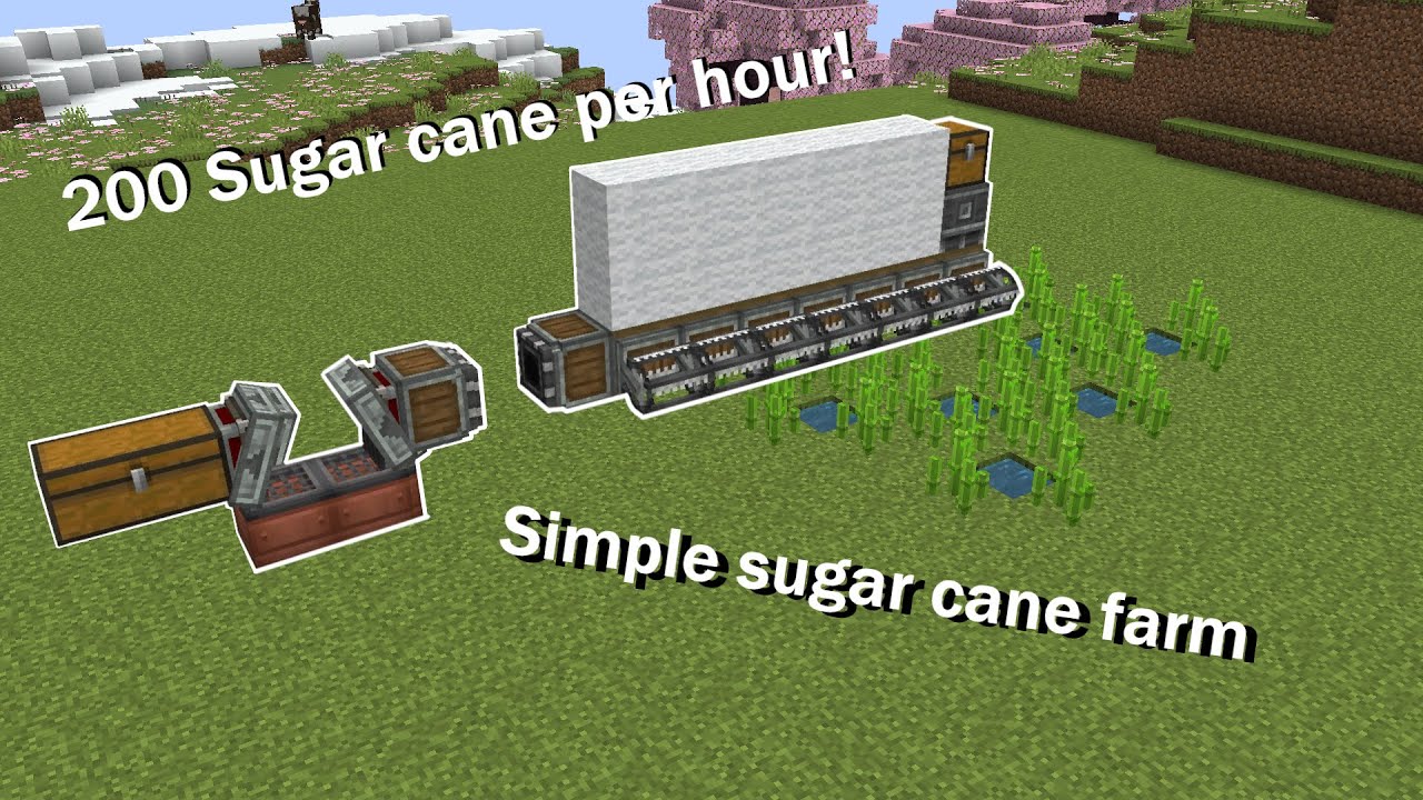 How do i make a sugar cane farm with create? | Create 6.0.6 (1.20.1 ...