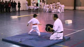 Karate Kyokushin Demonstration - Panuta Albert