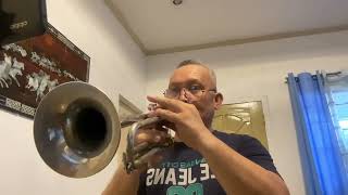 FIRST OF MAY - Bee Gees (Trumpet) cover