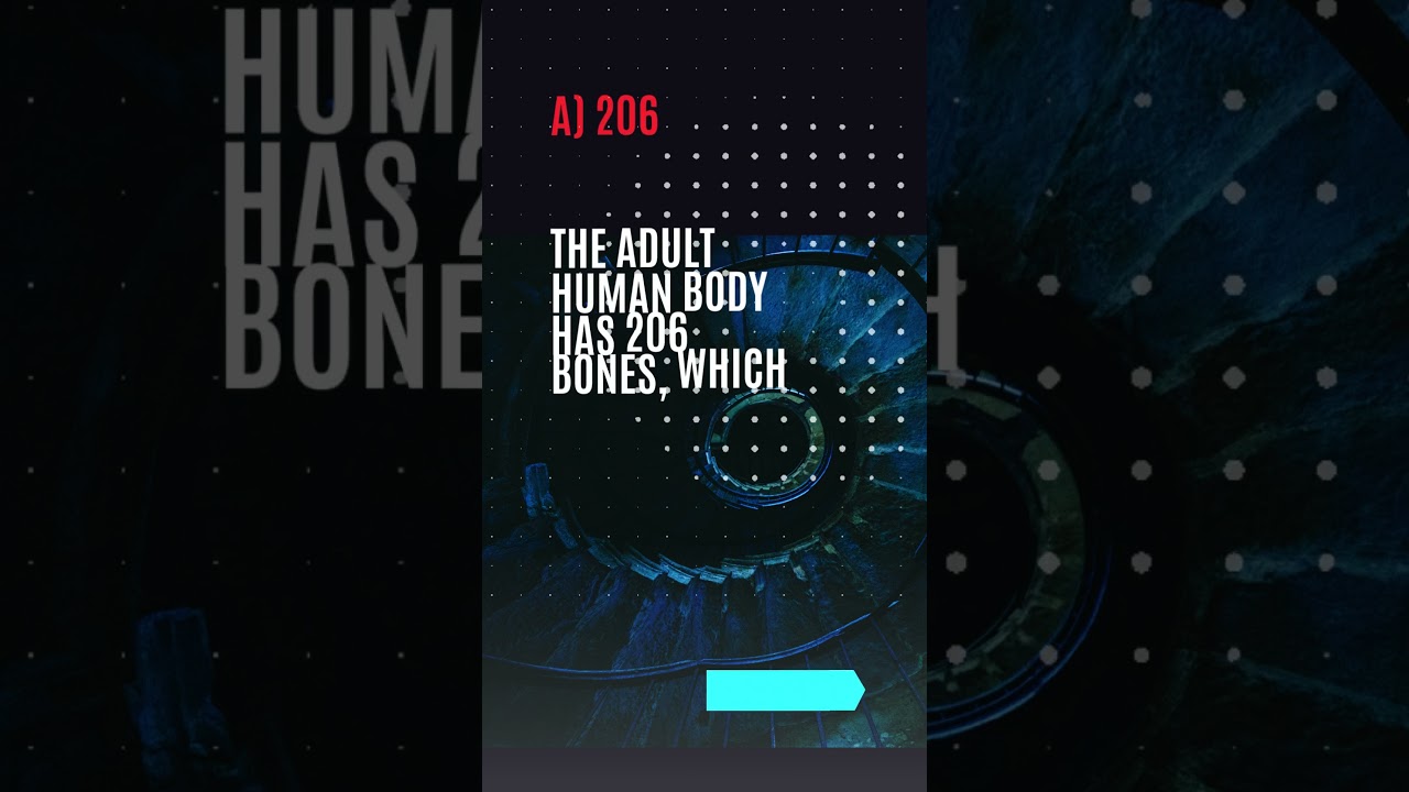 Quick Quiz & Fun Facts 6