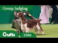 Welsh Springer Spaniel wins Gundog Group Judging at Crufts 2006 の動画、YouTube動画。