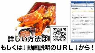 うなぎ お中元 ギフト 国産鰻 値段 最安値で購入する方法！