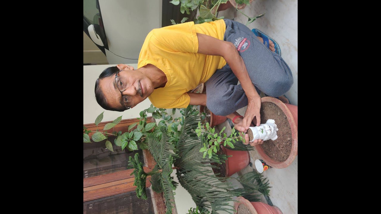 ऋतुराज बसंत