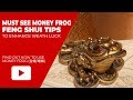 Feng Shui Tips to Place Three Legged Money Frog to Enhance Your Wealth Luck