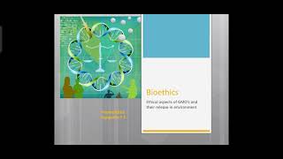 Bioethics part 2- ethical aspects of GMO's and their release in environment