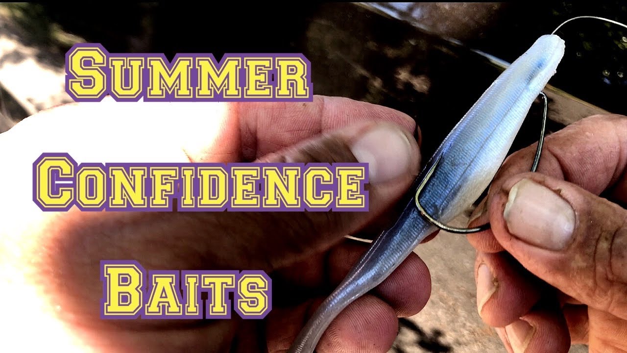 My Top Summer Baits / Weightless Flukes for Shallow Bass in Ponds
