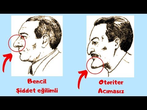 Video: Modern Avuç İçi Okuma Sanatı Nasıl Uygulanır?