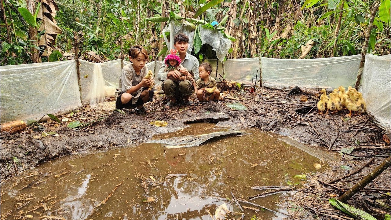 Anemic father often faints and what will happen to children's lives, raise more ducks will the baby