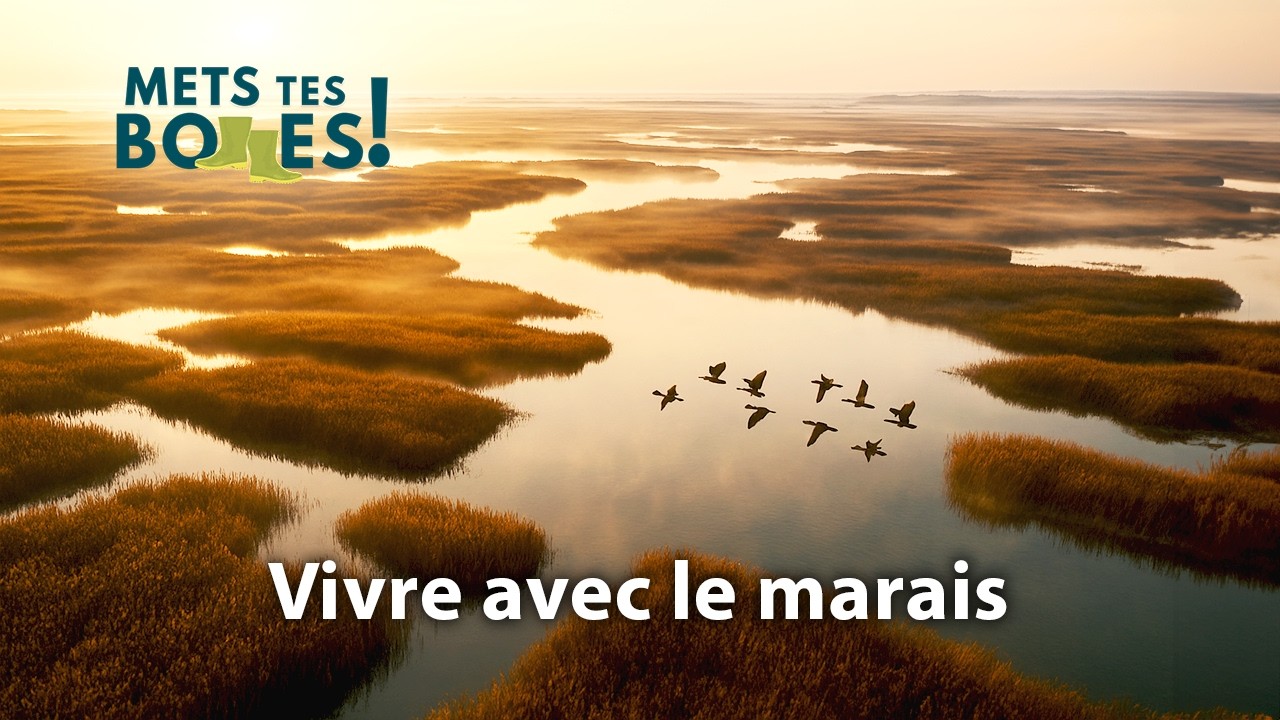 Baie de Somme : dans la peau des chasseurs d’eau