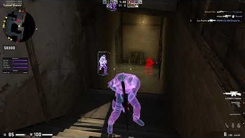 Nemesi- nvm dogshit cheat